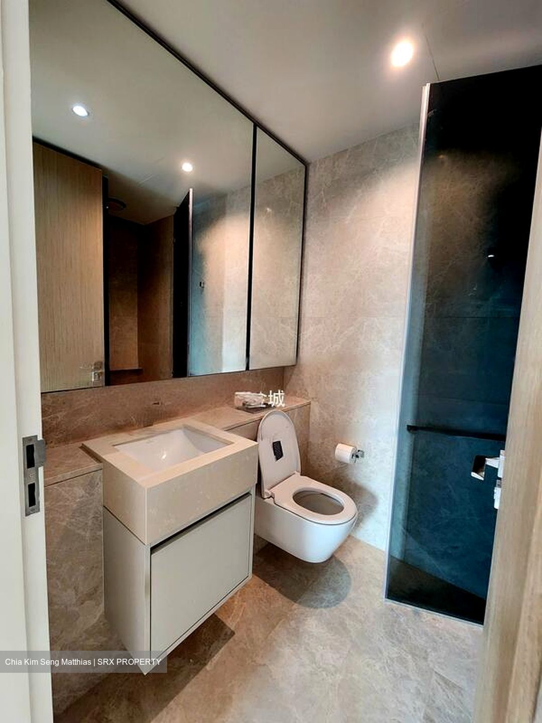 Amber Park (D15), Condominium #638684561